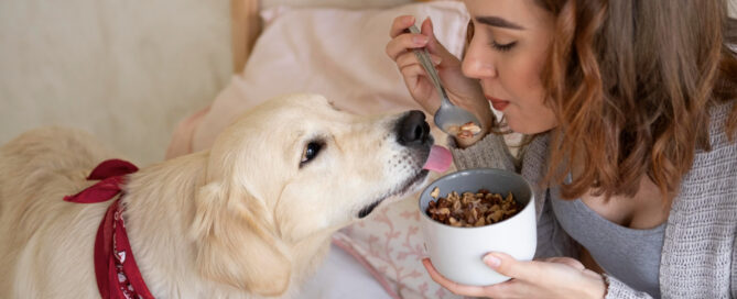 Gesunde Ernährung für Hunde