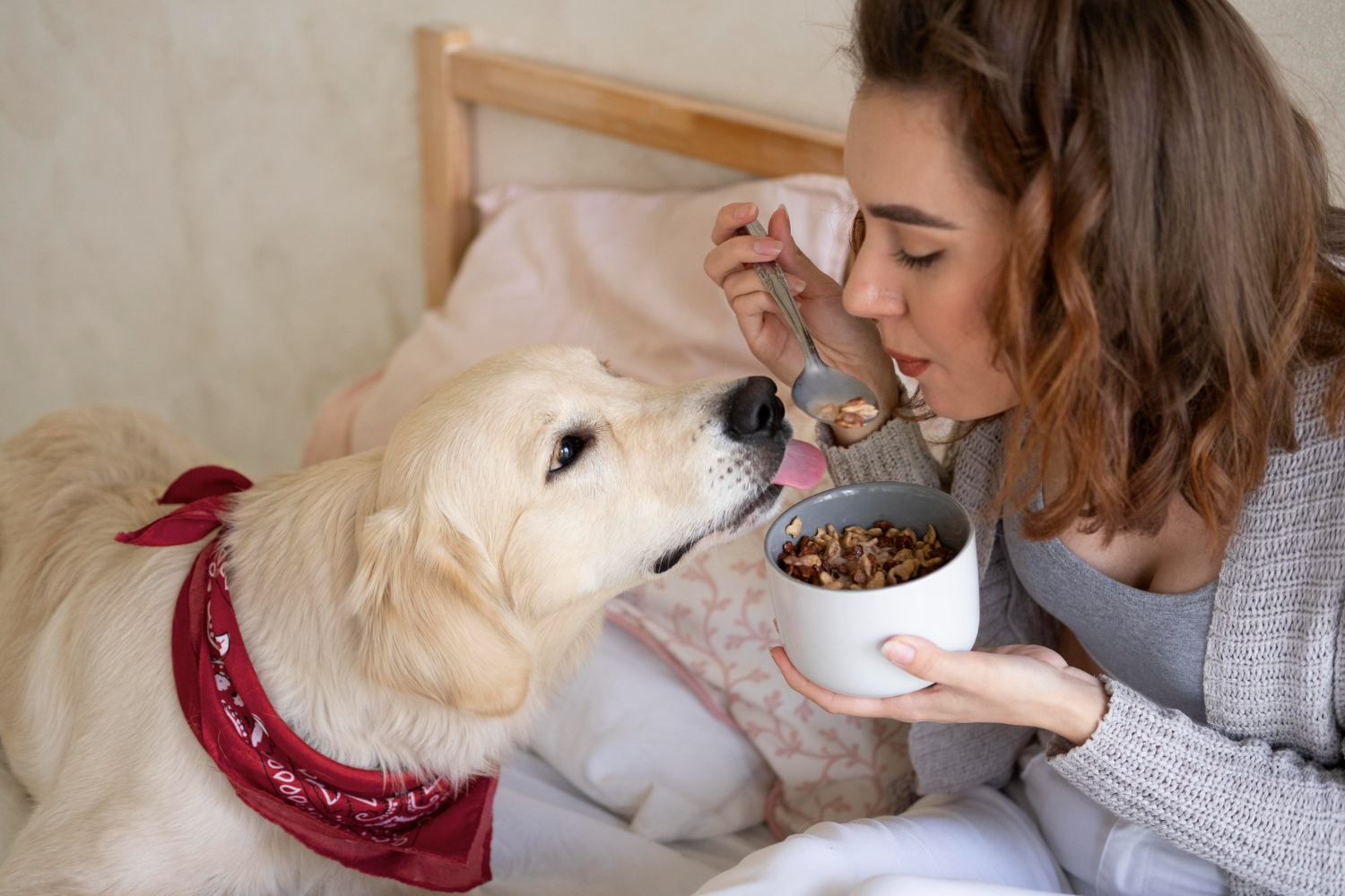 Gesunde Ernährung für Hunde